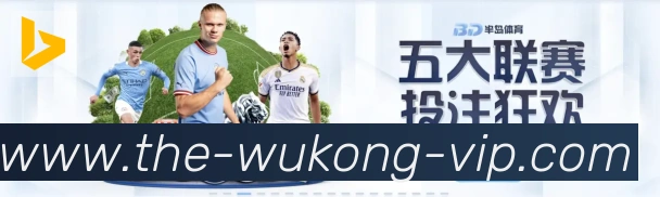 App功能展示图